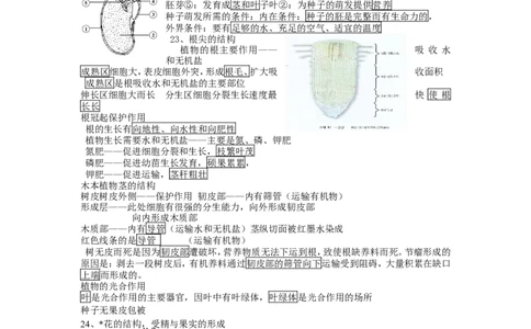 七年级生物上册复习资料_1、初中学习资料_4-6、生物_4-6-1、初一生物上册_知识点总结