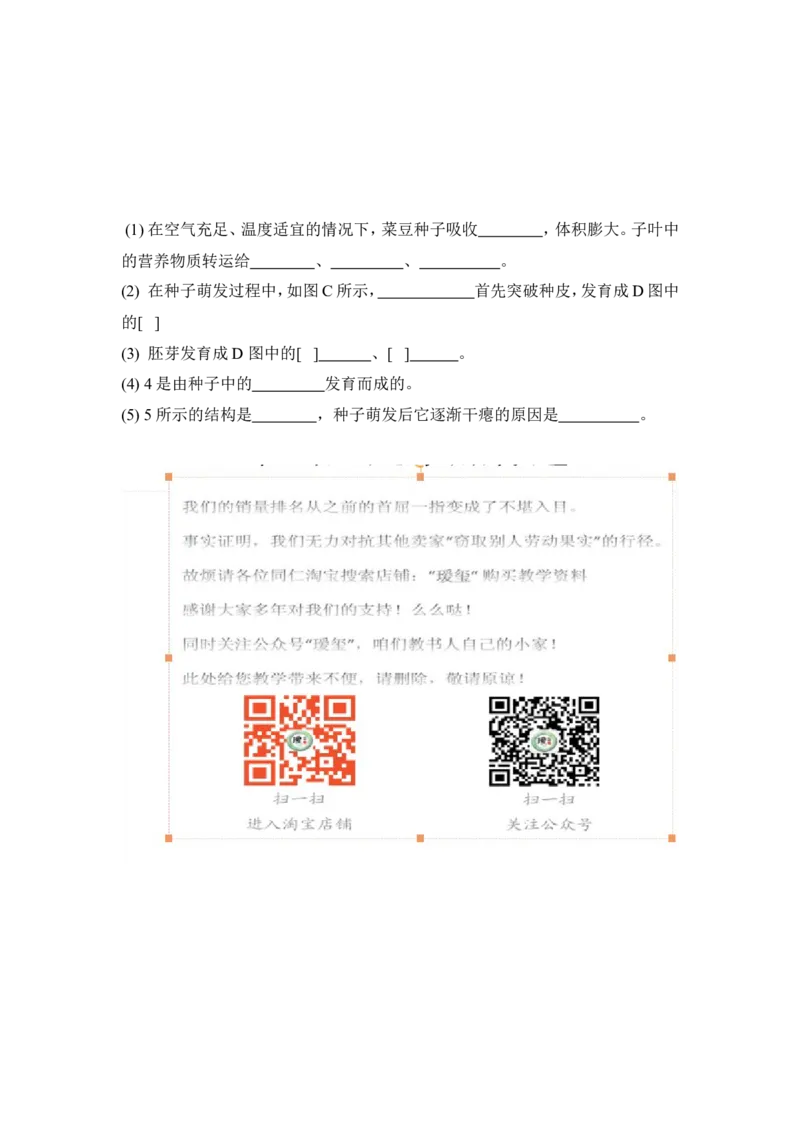 《种子的萌发》习题3含答案_1、初中学习资料_4-6、生物_4-6-1、初一生物上册_同步练习-138份_2、同步练习第2套115份_第3单元生物圈中的绿色植物_3.2.1种子的萌发