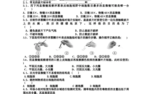 《植物细胞》习题5含答案_1、初中学习资料_4-6、生物_4-6-1、初一生物上册_同步练习-138份_2、同步练习第2套115份_第2单元生物体的结构层次_2.1.2植物细胞