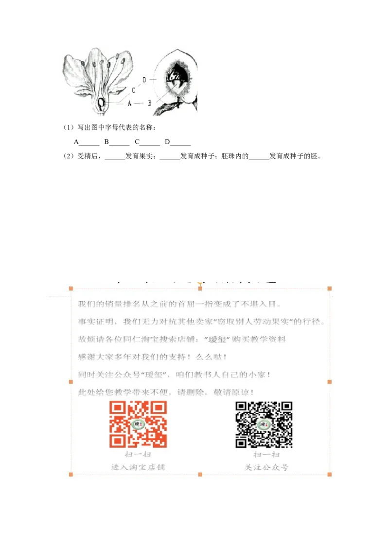 《开花和结果》习题5含答案_1、初中学习资料_4-6、生物_4-6-1、初一生物上册_同步练习-138份_2、同步练习第2套115份_第3单元生物圈中的绿色植物_3.2.3开花和结果