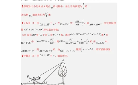 专题10解三角形的实际应用（解析版）_1、初中学习资料_24秋试卷_初中数学《常考压轴题攻略》_常考压轴题最新九年级数学下册压轴题攻略（人教版）
