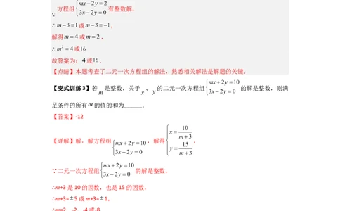 专题10二元一次方程组特殊解的三种考法（解析版）（北师大版）_1、初中学习资料_24秋试卷_初中数学《常考压轴题攻略》_常考压轴题最新八年级数学上册压轴题攻略（北师大版）