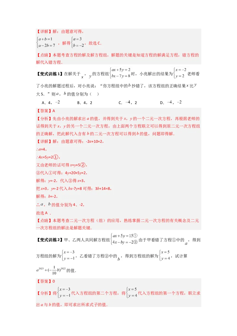 专题10二元一次方程组特殊解的三种考法（解析版）（北师大版）_1、初中学习资料_24秋试卷_初中数学《常考压轴题攻略》_常考压轴题最新八年级数学上册压轴题攻略（北师大版）