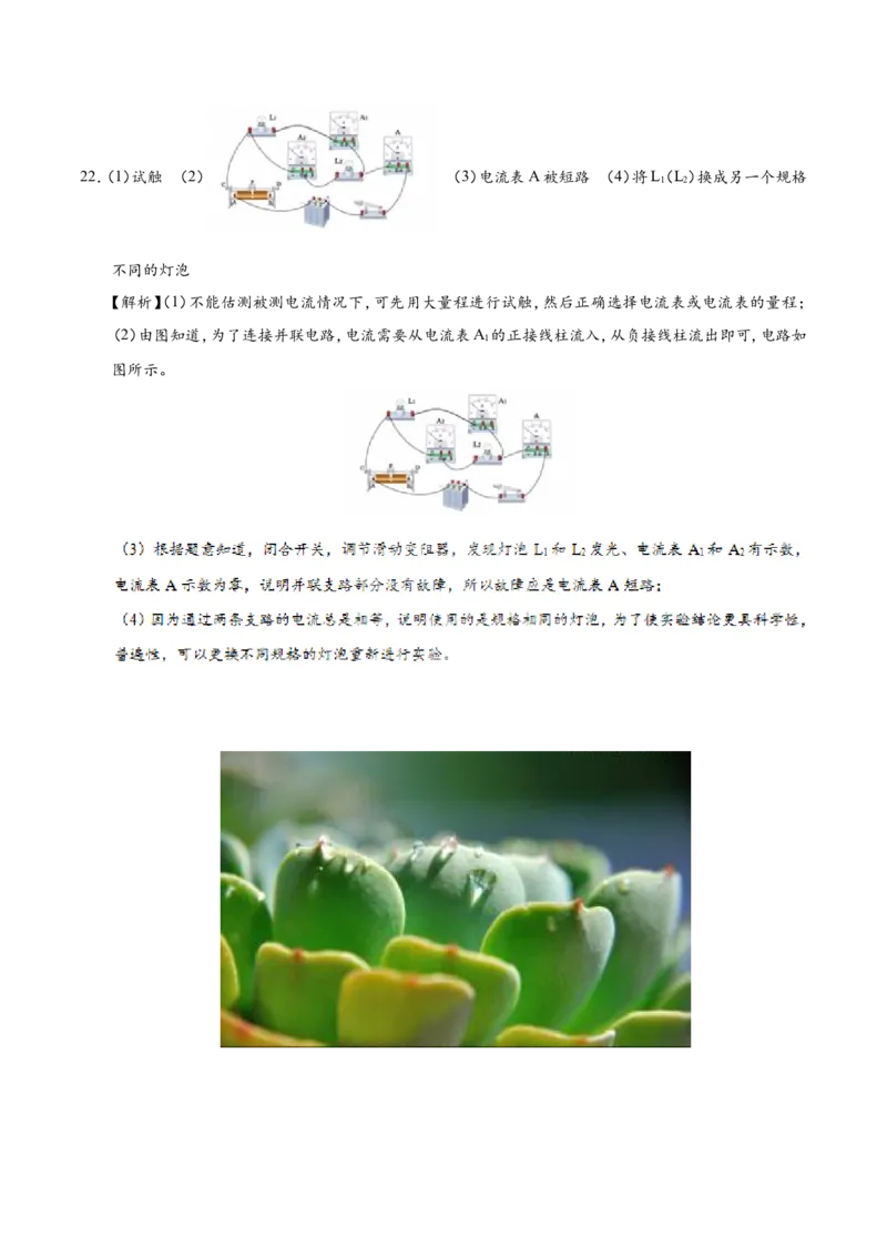 专题15.5串、并联电路中电流的规律--九年级物理人教版_1、初中学习资料_4-4、物理_4-4-5、初三物理全册_2024更新_人教版初中物理九年级章末测试专题讲义（新）