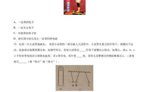 两种电荷（重点练）（原卷版）_1、初中学习资料_4-4、物理_4-4-5、初三物理全册_2024更新_4人教物理试卷9全册同步课时练习新