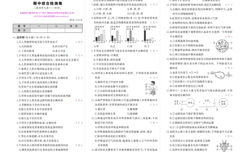 人七生物期中答案_1、初中学习资料_24秋试卷_《期中模拟卷》24秋_7-9下册（2024春）_初中生物《期中试卷》7-8下册（人教版）