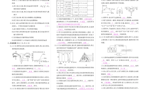 人七生物期中答案_1、初中学习资料_24秋试卷_《期中模拟卷》24秋_7-9下册（2024春）_初中生物《期中试卷》7-8下册（人教版）