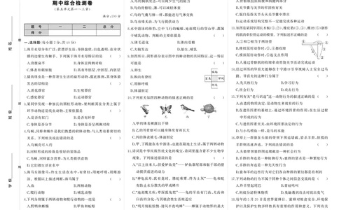 人八生上试卷_1、初中学习资料_24秋试卷_《期中模拟卷》24秋_7-9上册（2024秋）_初中生物《期中模拟卷》7-8上册（人教版）