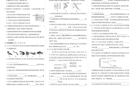 人八生上试卷_1、初中学习资料_24秋试卷_《期中模拟卷》24秋_7-9上册（2024秋）_初中生物《期中模拟卷》7-8上册（人教版）