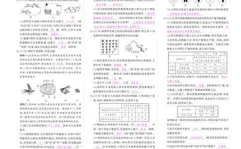 人八生物期中答案_1、初中学习资料_24秋试卷_《期中模拟卷》24秋_7-9下册（2024春）_初中生物《期中试卷》7-8下册（人教版）