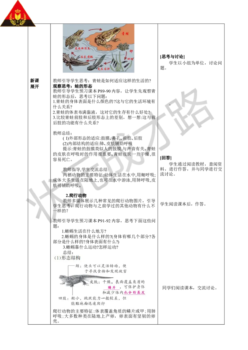二两栖动物和爬行动物_1、初中学习资料_2024秋改版_七上生物最新版课件_教案_第二单元多种多样的生物_第二章动物的类群_第二节脊椎动物