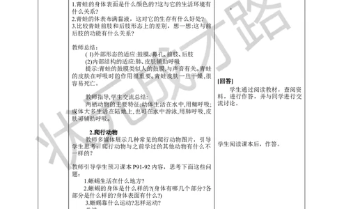 二两栖动物和爬行动物_1、初中学习资料_2024秋改版_七上生物最新版课件_教案_第二单元多种多样的生物_第二章动物的类群_第二节脊椎动物