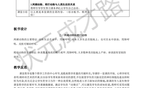 二两栖动物和爬行动物_1、初中学习资料_2024秋改版_七上生物最新版课件_教案_第二单元多种多样的生物_第二章动物的类群_第二节脊椎动物