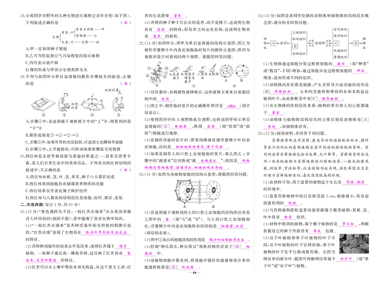人七生上答案_1、初中学习资料_24秋试卷_《期中模拟卷》24秋_7-9上册（2024秋）_初中生物《期中模拟卷》7-8上册（人教版）