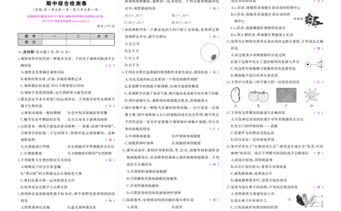 人七生上答案_1、初中学习资料_24秋试卷_《期中模拟卷》24秋_7-9上册（2024秋）_初中生物《期中模拟卷》7-8上册（人教版）