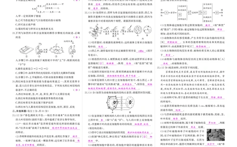 人七生上答案_1、初中学习资料_24秋试卷_《期中模拟卷》24秋_7-9上册（2024秋）_初中生物《期中模拟卷》7-8上册（人教版）