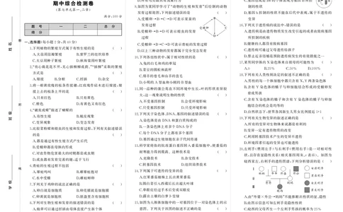 人八生物期中_1、初中学习资料_24秋试卷_《期中模拟卷》24秋_7-9下册（2024春）_初中生物《期中试卷》7-8下册（人教版）