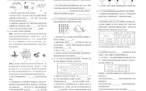 人八生物期中_1、初中学习资料_24秋试卷_《期中模拟卷》24秋_7-9下册（2024春）_初中生物《期中试卷》7-8下册（人教版）