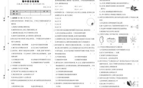 人七生上试卷_1、初中学习资料_24秋试卷_《期中模拟卷》24秋_7-9上册（2024秋）_初中生物《期中模拟卷》7-8上册（人教版）