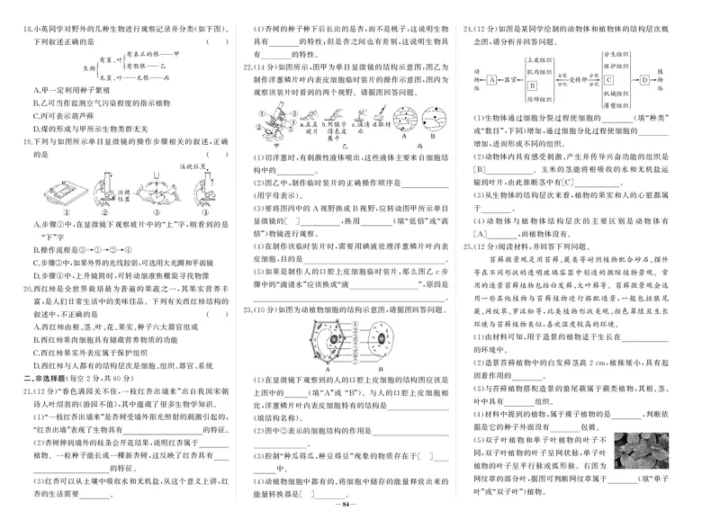 人七生上试卷_1、初中学习资料_24秋试卷_《期中模拟卷》24秋_7-9上册（2024秋）_初中生物《期中模拟卷》7-8上册（人教版）