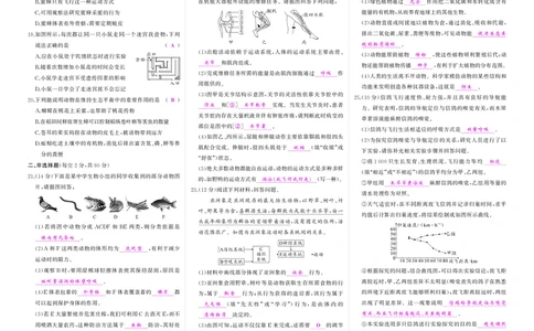 人八生上答案_1、初中学习资料_24秋试卷_《期中模拟卷》24秋_7-9上册（2024秋）_初中生物《期中模拟卷》7-8上册（人教版）
