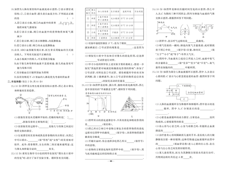 人七生物期中_1、初中学习资料_24秋试卷_《期中模拟卷》24秋_7-9下册（2024春）_初中生物《期中试卷》7-8下册（人教版）