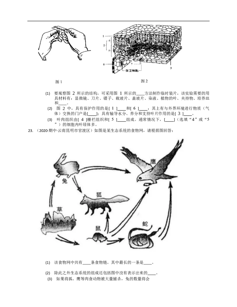 人教版初中生物学七年级上册期末测试题2_1、初中学习资料_4-6、生物_4-6-1、初一生物上册_期末试卷（8份）