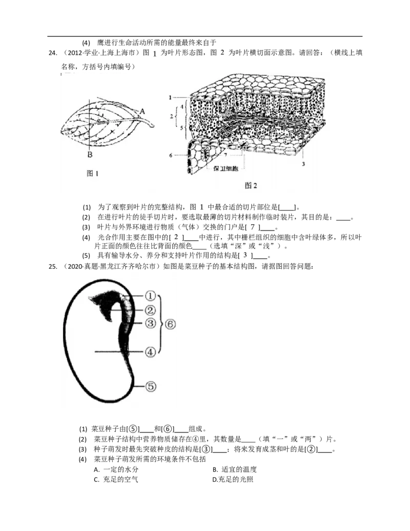 人教版初中生物学七年级上册期末测试题2_1、初中学习资料_4-6、生物_4-6-1、初一生物上册_期末试卷（8份）