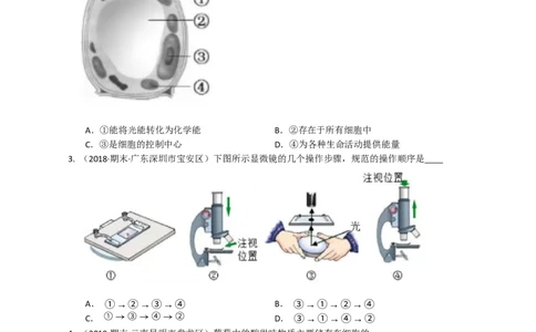 人教版初中生物学七年级上册期末测试题2_1、初中学习资料_4-6、生物_4-6-1、初一生物上册_期末试卷（8份）