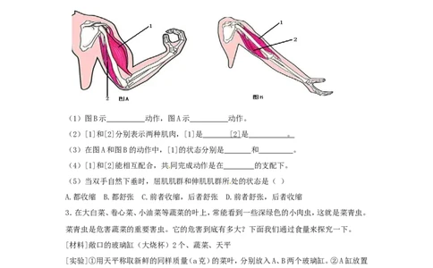 人教版八年级生物上册第五单元检测题2_1、初中学习资料_4-6、生物_4-6-3、初二生物上册_2、单元测试（23份）_单元测试3