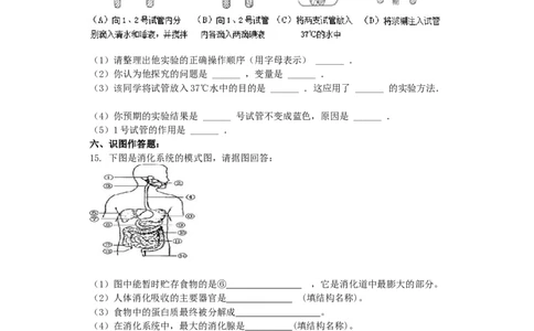 人教版生物七年级下册第四单元第二章第一节《食物中的营养》课堂达标训练题（含答案）_1、初中学习资料_4-6、生物_4-6-2、初一生物下册_同步练习（89份）_同步练习第2套（69份）