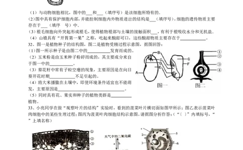 人教版初中生物学七年级上册期末测试题1_1、初中学习资料_4-6、生物_4-6-1、初一生物上册_期末试卷（8份）
