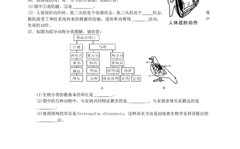 人教版初中生物学八年级上册期末测试题3_1、初中学习资料_4-6、生物_4-6-3、初二生物上册_4、期末试卷（35份）