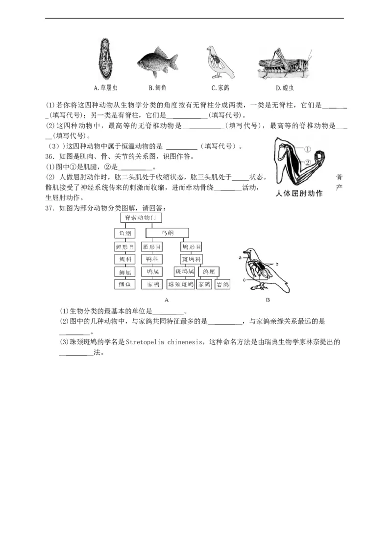 人教版初中生物学八年级上册期末测试题3_1、初中学习资料_4-6、生物_4-6-3、初二生物上册_4、期末试卷（35份）