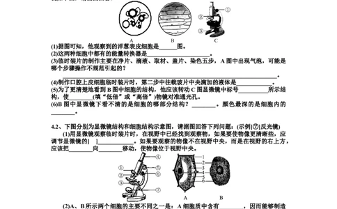 动物体的结构层次习题4含答案_1、初中学习资料_4-6、生物_4-6-1、初一生物上册_同步练习-138份_2、同步练习第2套115份_第2单元生物体的结构层次_2.2.2动物体的结构层次