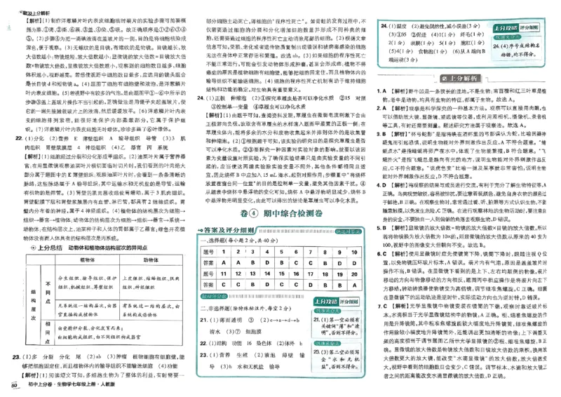 初中上分卷-生物-7上人教版答案及上分解析_1、初中学习资料_24秋试卷_2024秋初中必刷题上分卷九科电子版_生物