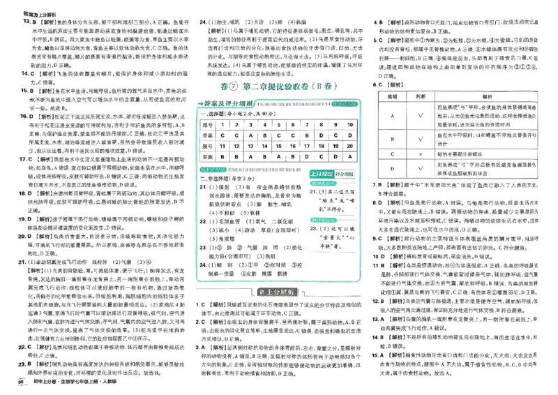 初中上分卷-生物-7上人教版答案及上分解析_1、初中学习资料_24秋试卷_2024秋初中必刷题上分卷九科电子版_生物