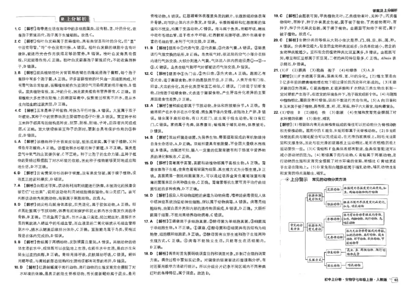 初中上分卷-生物-7上人教版答案及上分解析_1、初中学习资料_24秋试卷_2024秋初中必刷题上分卷九科电子版_生物
