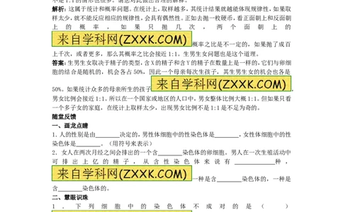 人的性别遗传同步学习1含答案_1、初中学习资料_4-6、生物_4-6-4、初二生物下册_1、同步练习（67份）_赠送同步练习53份_7.2生物的遗传与变异_第4节人的性别遗传