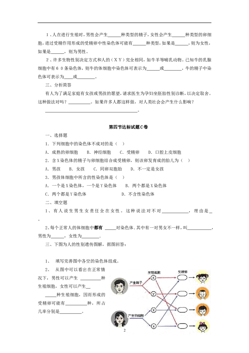 人的性别遗传达标试题含答案_1、初中学习资料_4-6、生物_4-6-4、初二生物下册_1、同步练习（67份）_赠送同步练习53份_7.2生物的遗传与变异_第4节人的性别遗传