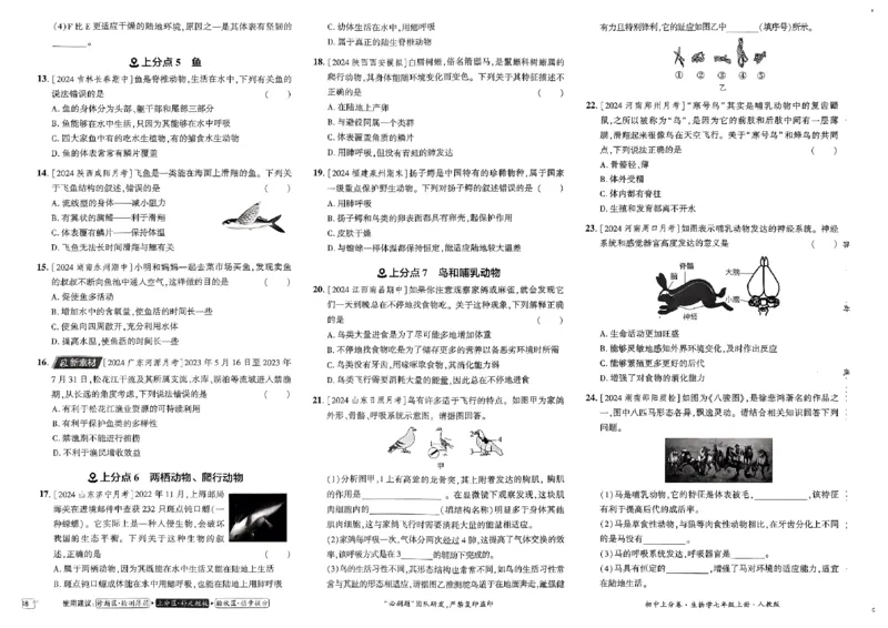 初中上分卷-生物-7上人教版_1、初中学习资料_24秋试卷_2024秋初中必刷题上分卷九科电子版_生物