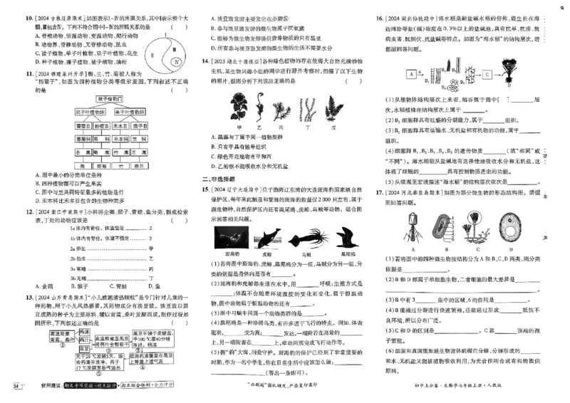 初中上分卷-生物-7上人教版_1、初中学习资料_24秋试卷_2024秋初中必刷题上分卷九科电子版_生物