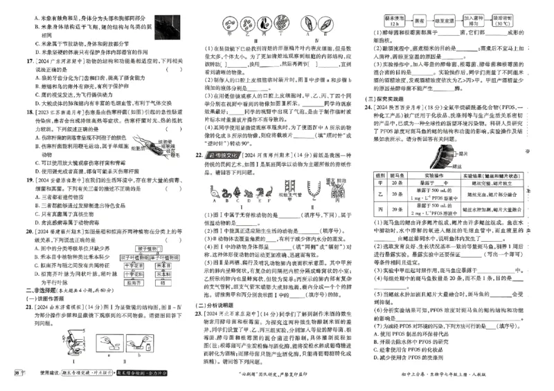 初中上分卷-生物-7上人教版_1、初中学习资料_24秋试卷_2024秋初中必刷题上分卷九科电子版_生物