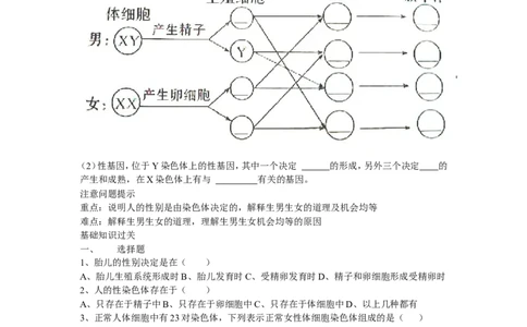 人的性别遗传同步学习2含答案_1、初中学习资料_4-6、生物_4-6-4、初二生物下册_1、同步练习（67份）_赠送同步练习53份_7.2生物的遗传与变异_第4节人的性别遗传