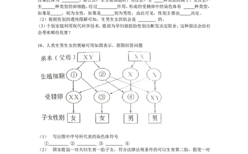 人的性别遗传同步学习2含答案_1、初中学习资料_4-6、生物_4-6-4、初二生物下册_1、同步练习（67份）_赠送同步练习53份_7.2生物的遗传与变异_第4节人的性别遗传