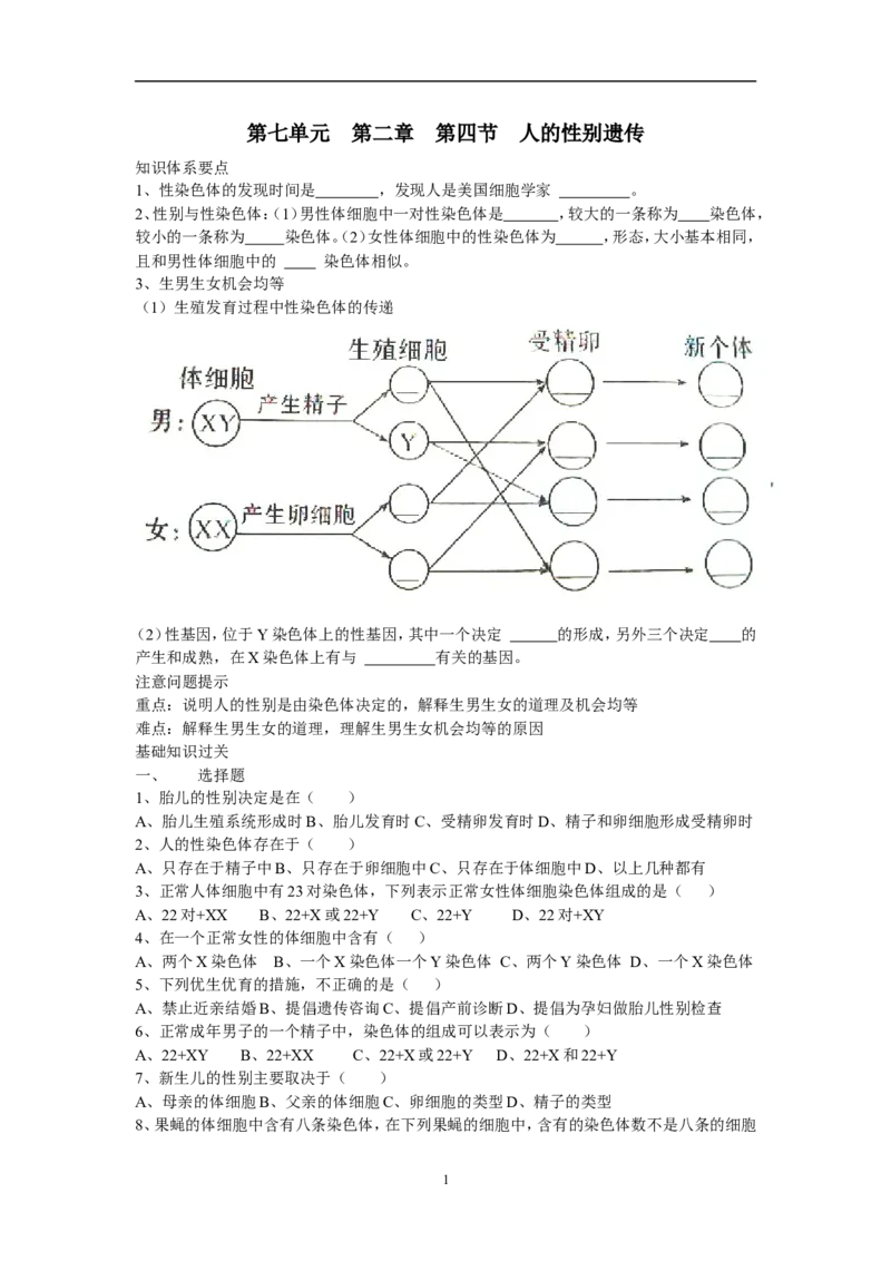 人的性别遗传同步学习2含答案_1、初中学习资料_4-6、生物_4-6-4、初二生物下册_1、同步练习（67份）_赠送同步练习53份_7.2生物的遗传与变异_第4节人的性别遗传