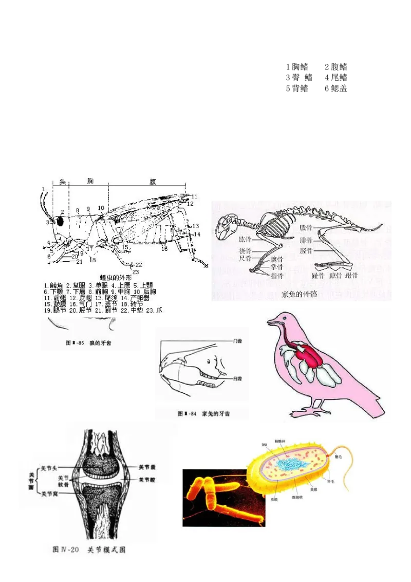 八年级生物上册学习资料_1、初中学习资料_4-6、生物_4-6-3、初二生物上册_6、知识点总结