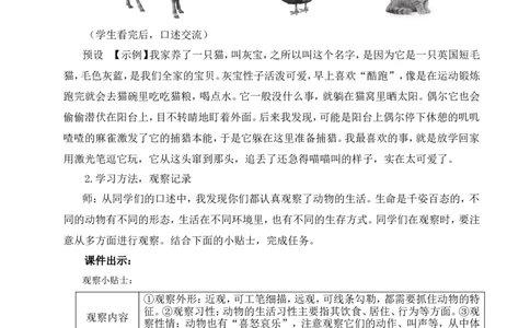 任务二亲近动物，丰富生命体验（名师教案）_1、初中学习资料_2024秋改版_人教七上语文新版课件_9.详细教案_5.第五单元