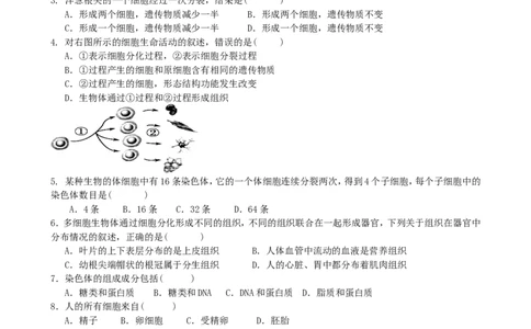 单元测试3含答案_1、初中学习资料_4-6、生物_4-6-1、初一生物上册_单元测试（20份）_2.单元测试第2套10份_第2单元