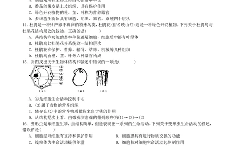单元测试3含答案_1、初中学习资料_4-6、生物_4-6-1、初一生物上册_单元测试（20份）_2.单元测试第2套10份_第2单元
